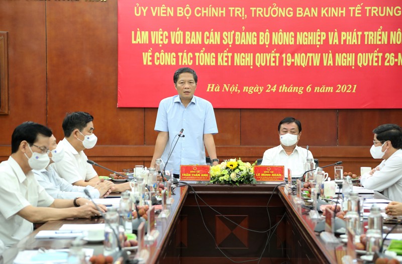 Nông nghiệp, nông dân, nông thôn nước ta mang sức sống mới, bộ mặt mới